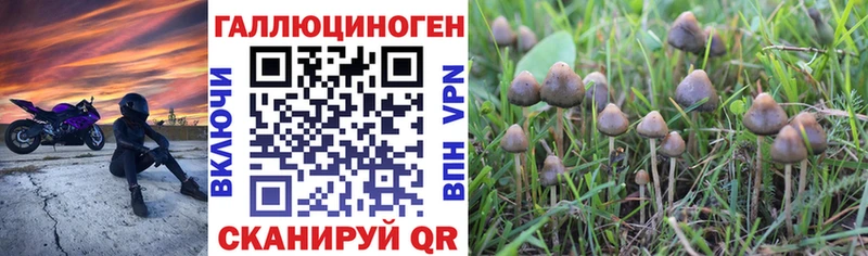 Псилоцибиновые грибы мицелий  дарнет шоп  Старая Купавна 